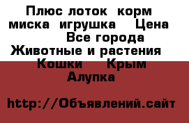 Плюс лоток, корм, миска, игрушка. › Цена ­ 50 - Все города Животные и растения » Кошки   . Крым,Алупка